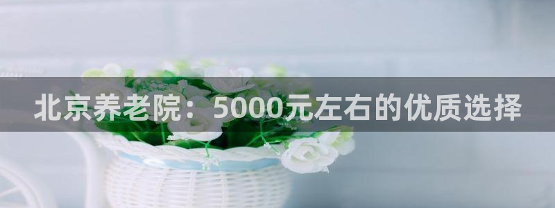 韦德1946客户端