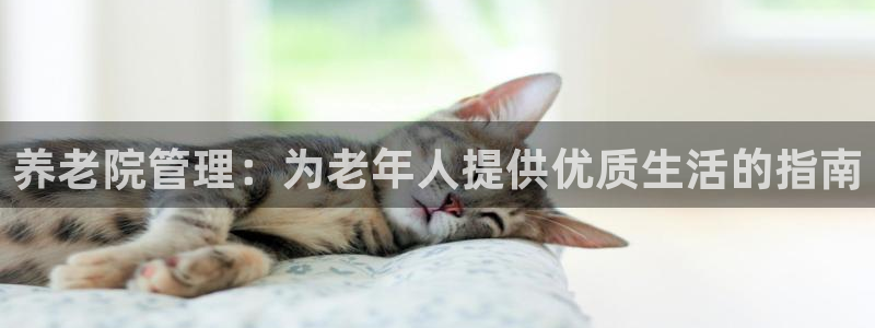 1946韦德找回密码