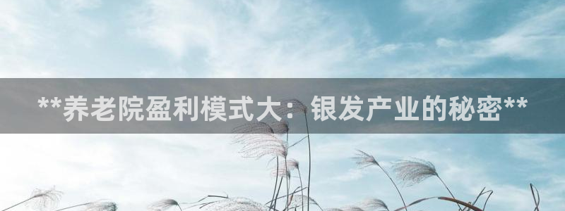 韦德是哪一届