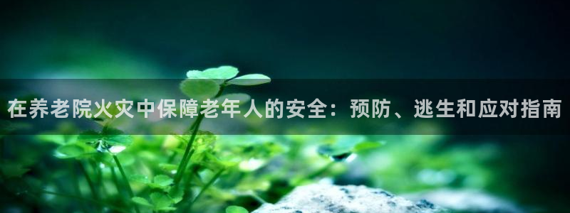 韦德1946备用网站