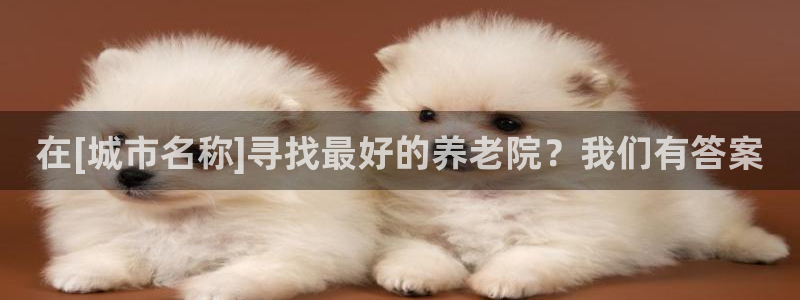 韦德1946游戏