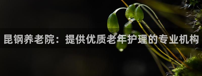 韦德1946手机版