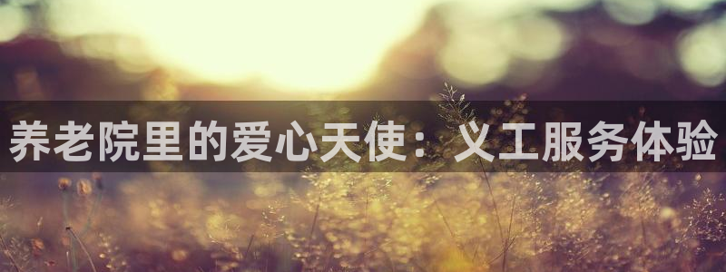 韦德1946博客