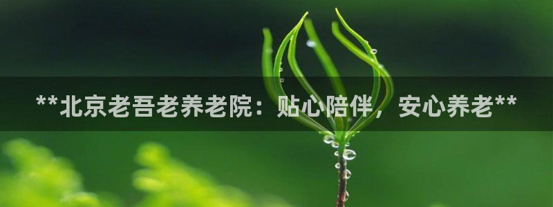 韦德1946网址