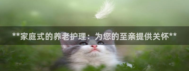 韦德网站官网