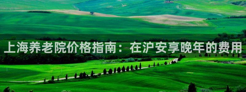 韦德1946备用网站