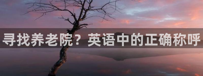 韦德1946备用网站