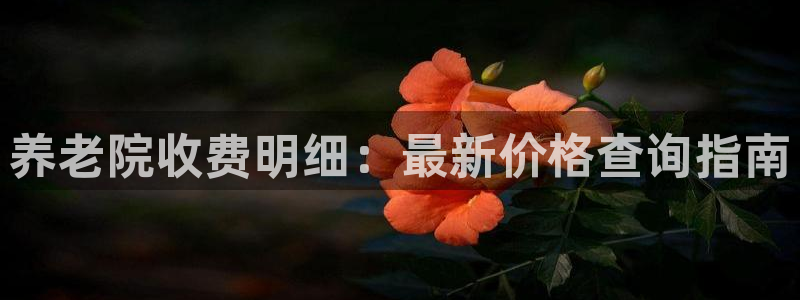 韦德1946备用网站