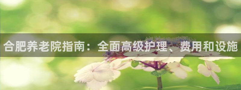 韦德官方网址