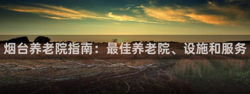 韦德2014