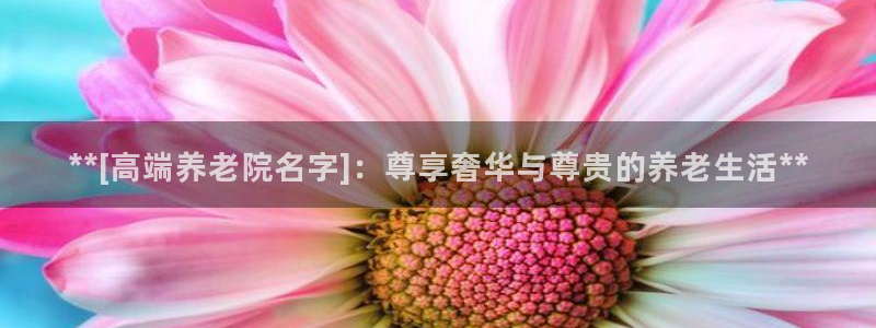 韦德1946体育