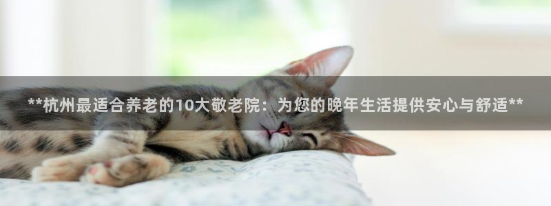 韦德网址