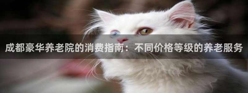 韦德1946中文官网