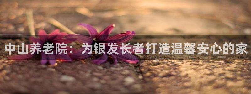 韦德1946下载