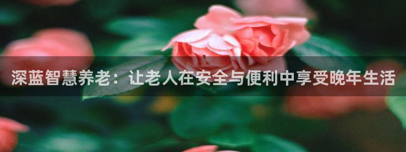 韦德的游戏