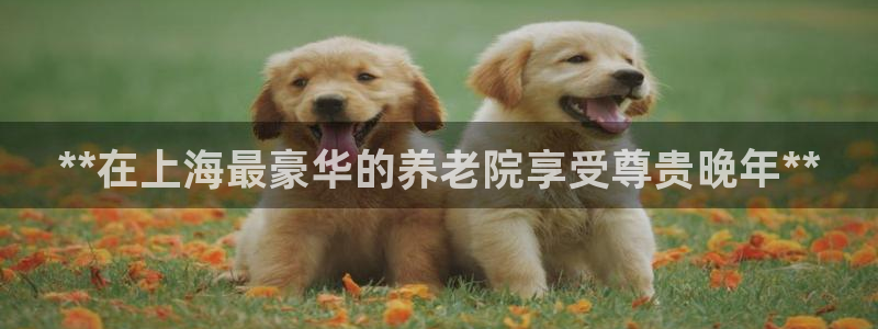 韦德事件