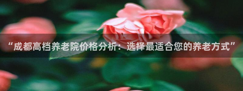 韦德 网站