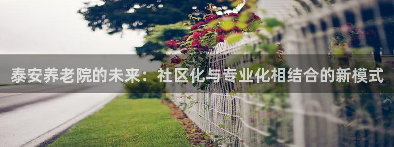 韦德 网址