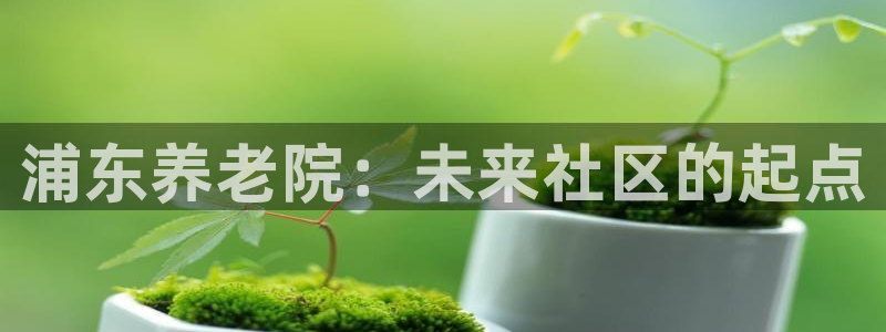 韦德是哪个