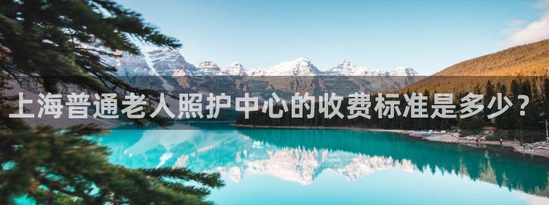 韦德1946国际