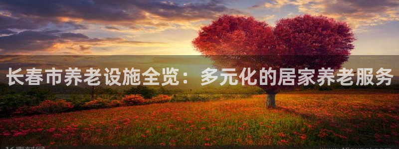 韦德游戏大厅