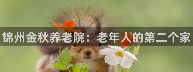 韦德1946始于英国