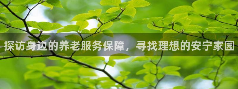 韦德游戏大厅