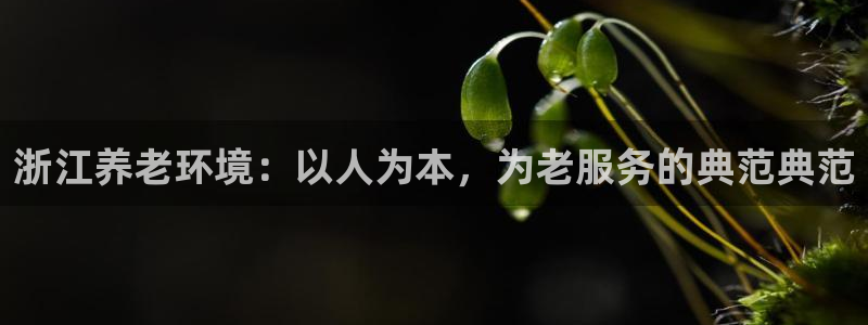 韦德网站是多少