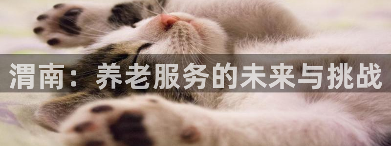 韦德bietview官网