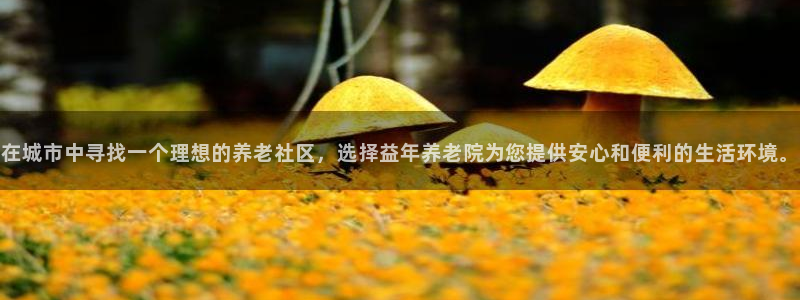 韦德1946体育官方入口