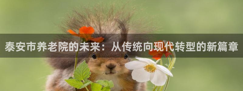 韦德注册手机版下载