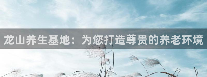 1946韦德官方网站