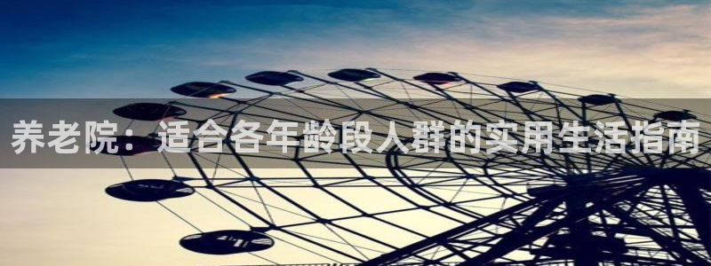 韦德网站是多少