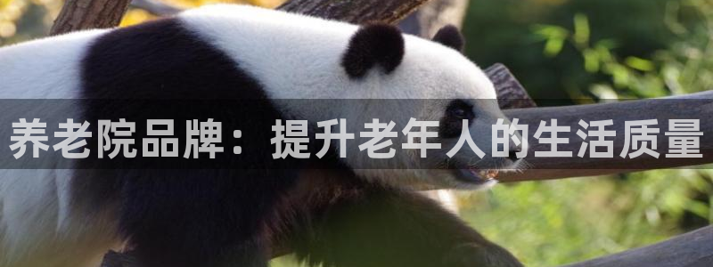 韦德游戏是什么