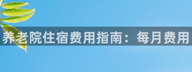 韦德bietview官网