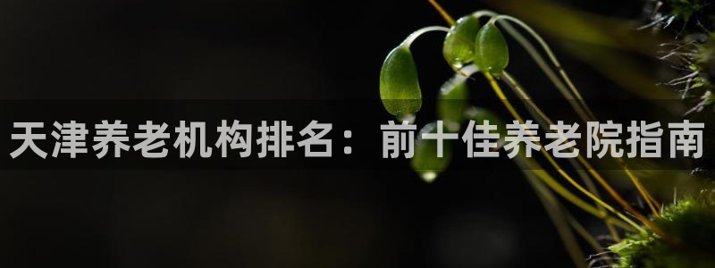 韦德游戏网址