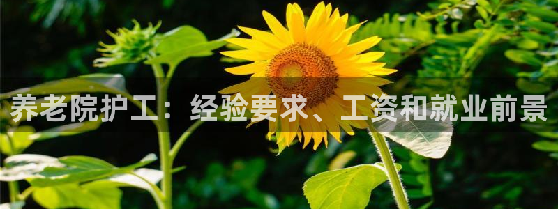 韦德游戏注册有风险吗