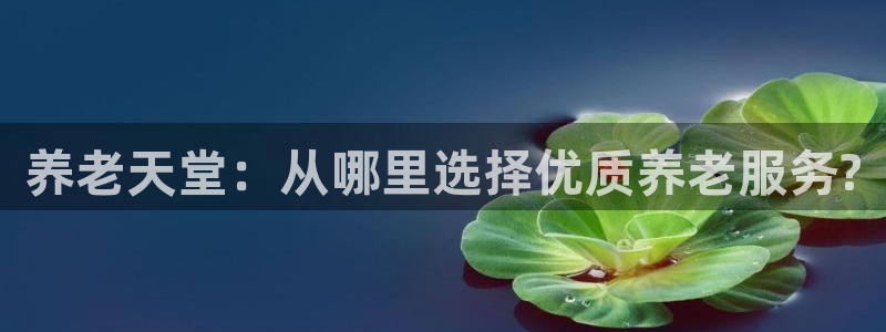 韦德1946国际娱乐