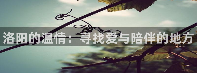 韦德1946娱乐手机版