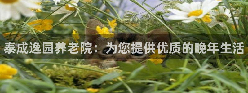 韦德游戏注册有风险吗