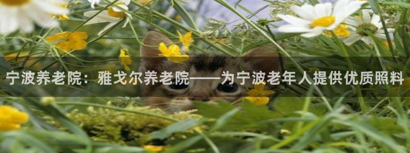 韦德注册手机版下载