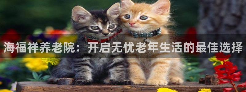 韦德官网注册推荐网站