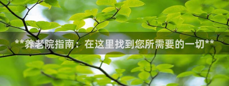 韦德游戏是什么